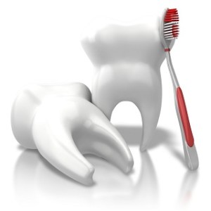 dentist port richey